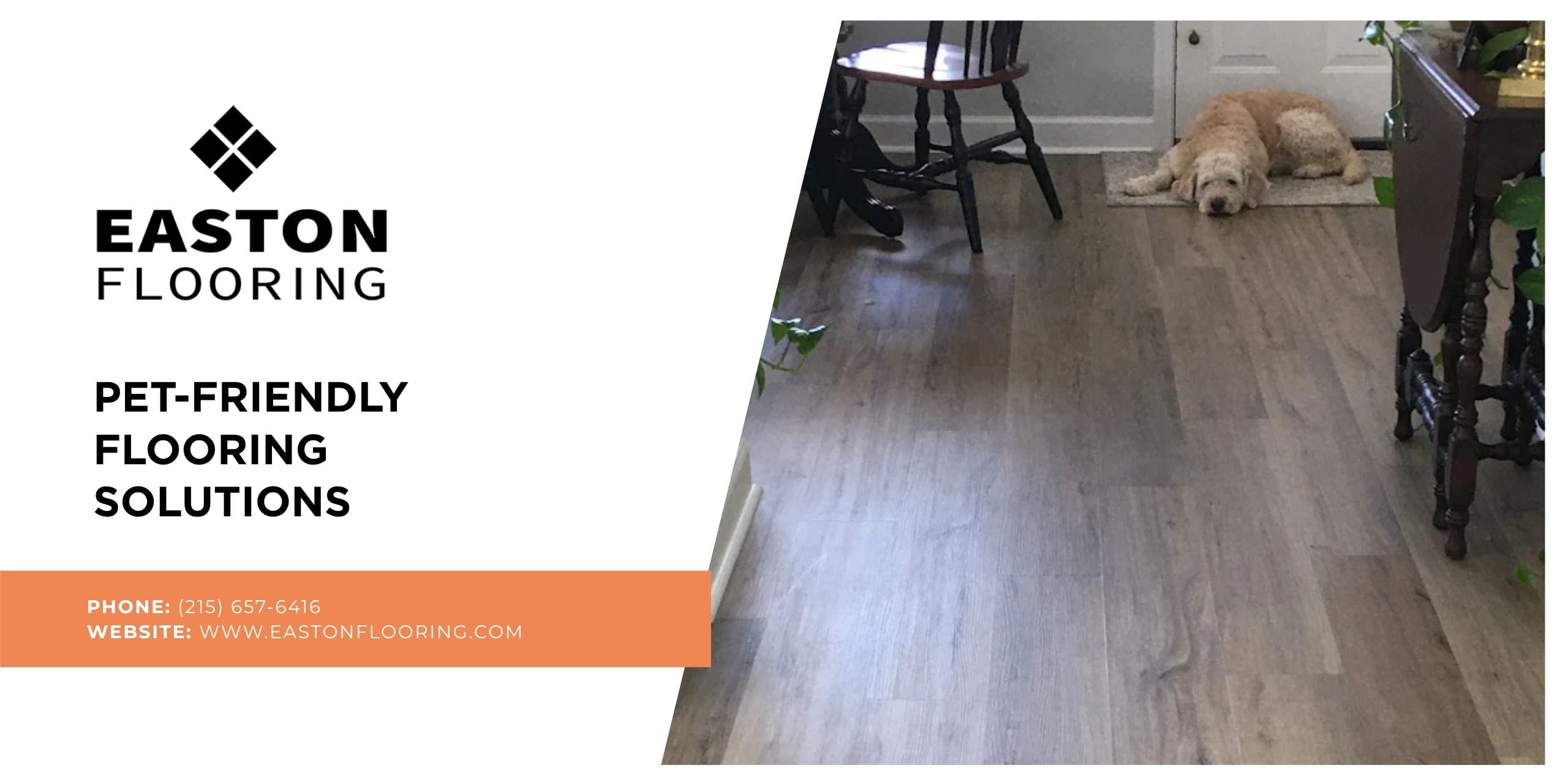 Pet-Friendly Flooring Solutions in Willow Grove, PA